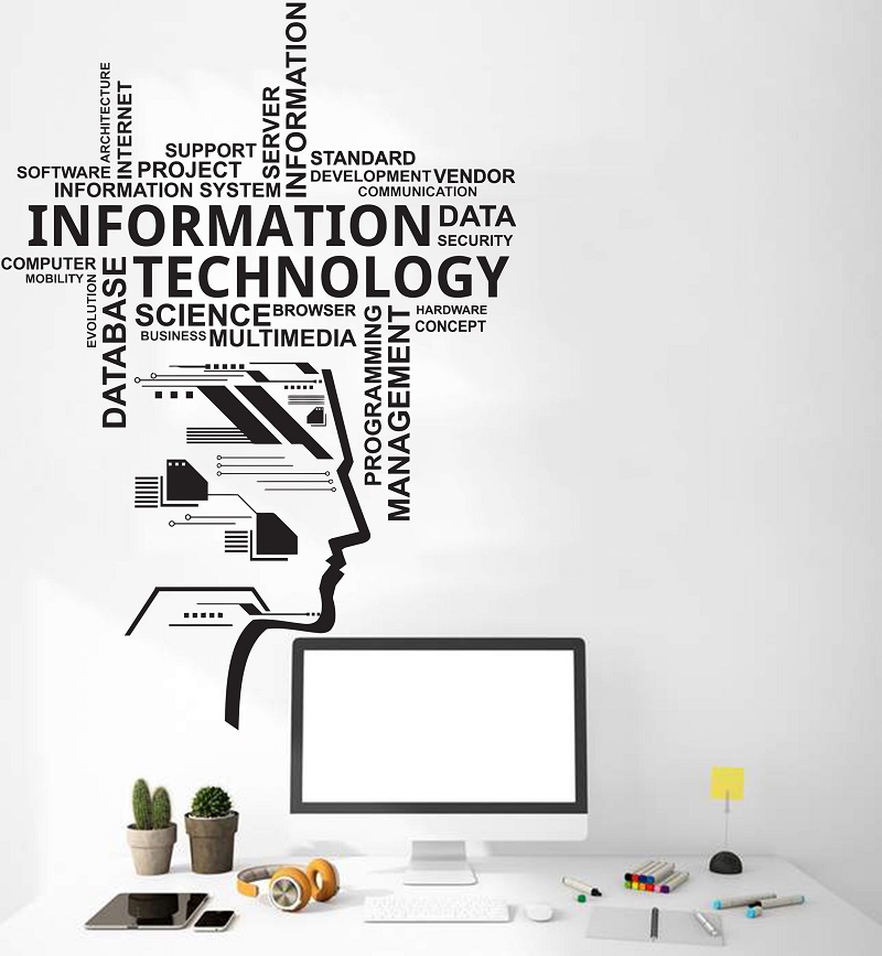 تكنولوجيا المعلومات الفينيل ال - مراجعة Information Technology Officer وسعره